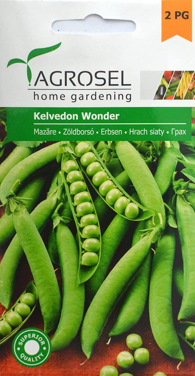 Seminte de Mazare Kelvedon Wonder 20 g (0713 10 100)  ST