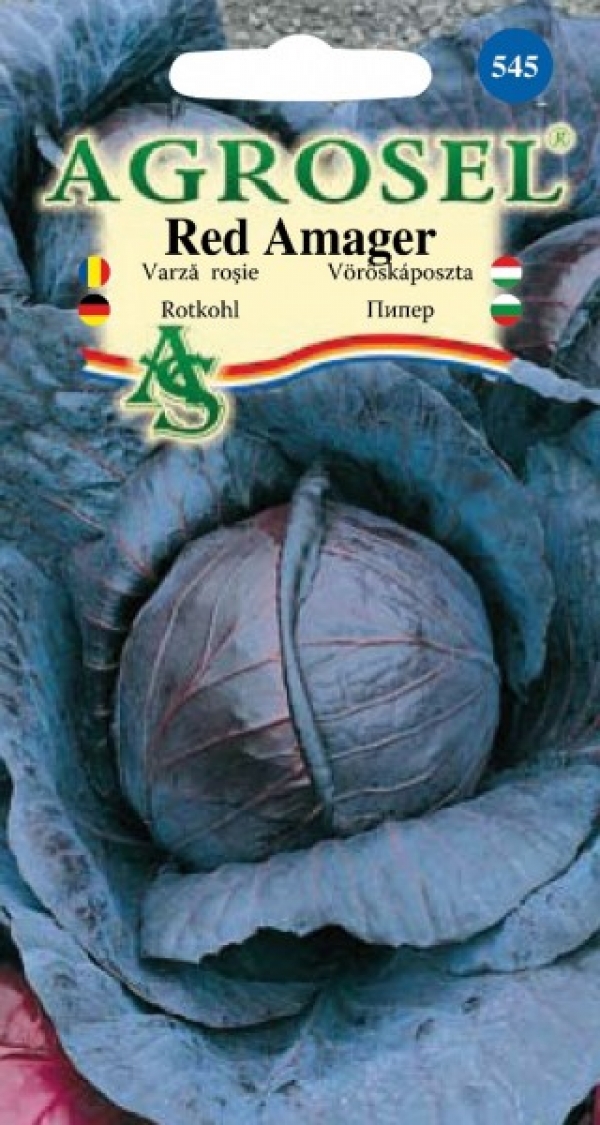 Seminte de Varza rosie Red Amager 2 g (1209 91 800)  ST