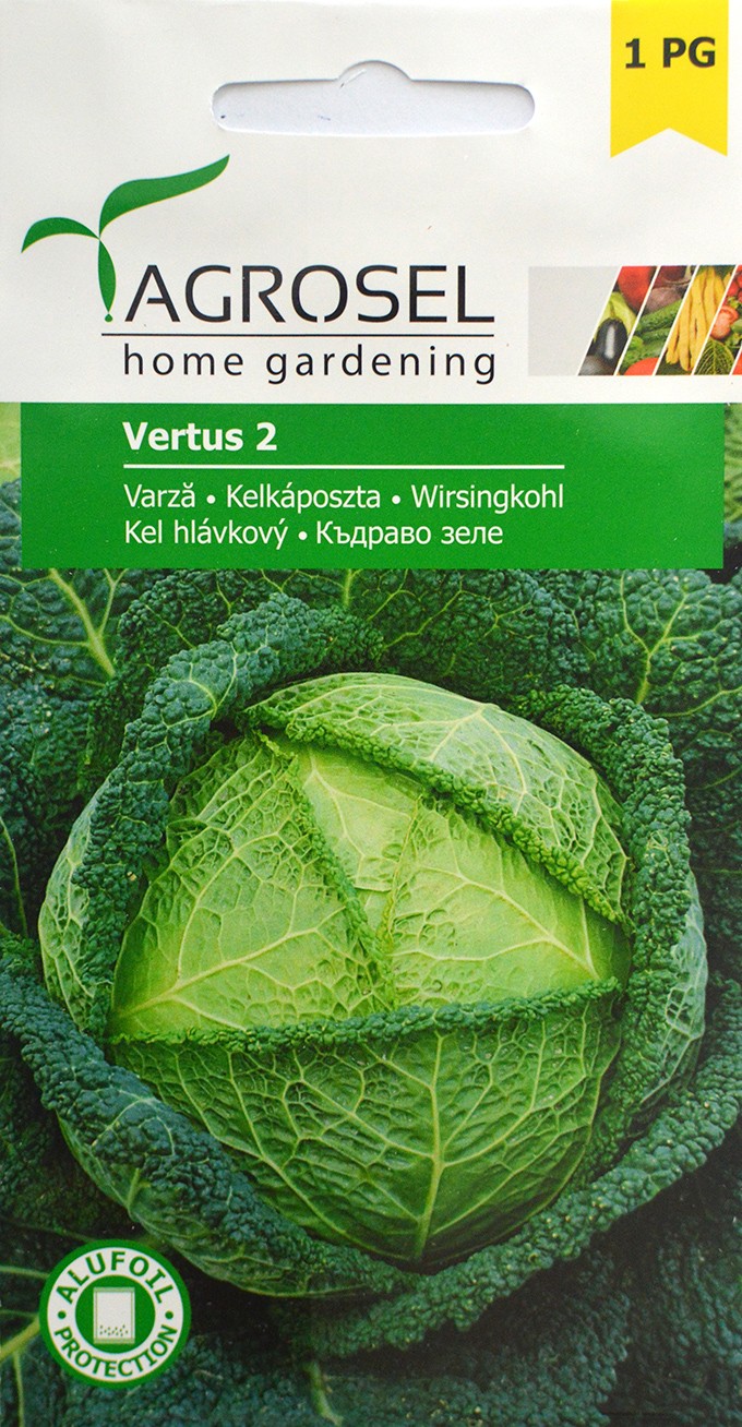 Семена Капуста Vertus 3 г  ST