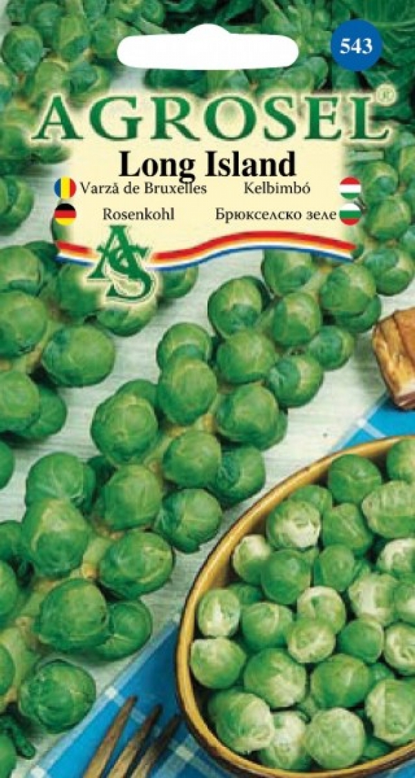 Seminte de Varza de Bruxelles Long Island 2 g (1209 91 800)  ST
