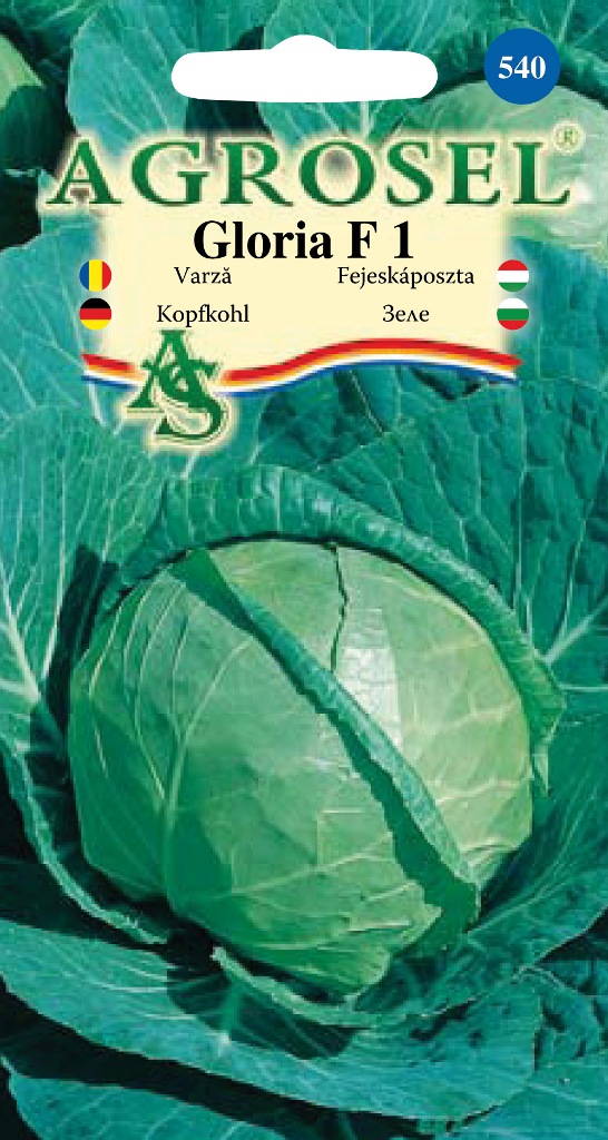 Семена Капуста Gloria F1 0.35 г  ST