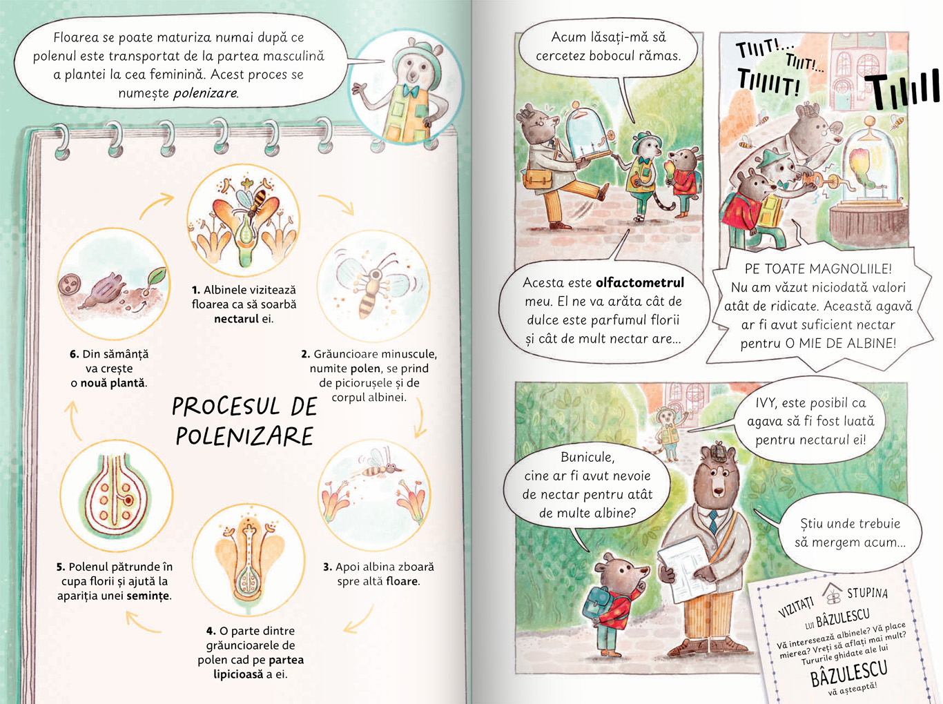 Ivy si Bearlock Holmes - Neobisnuitul caz al florii disparute