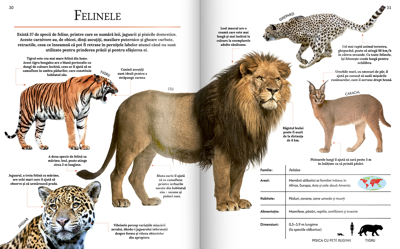 Extraordinara enciclopedie a animalelor