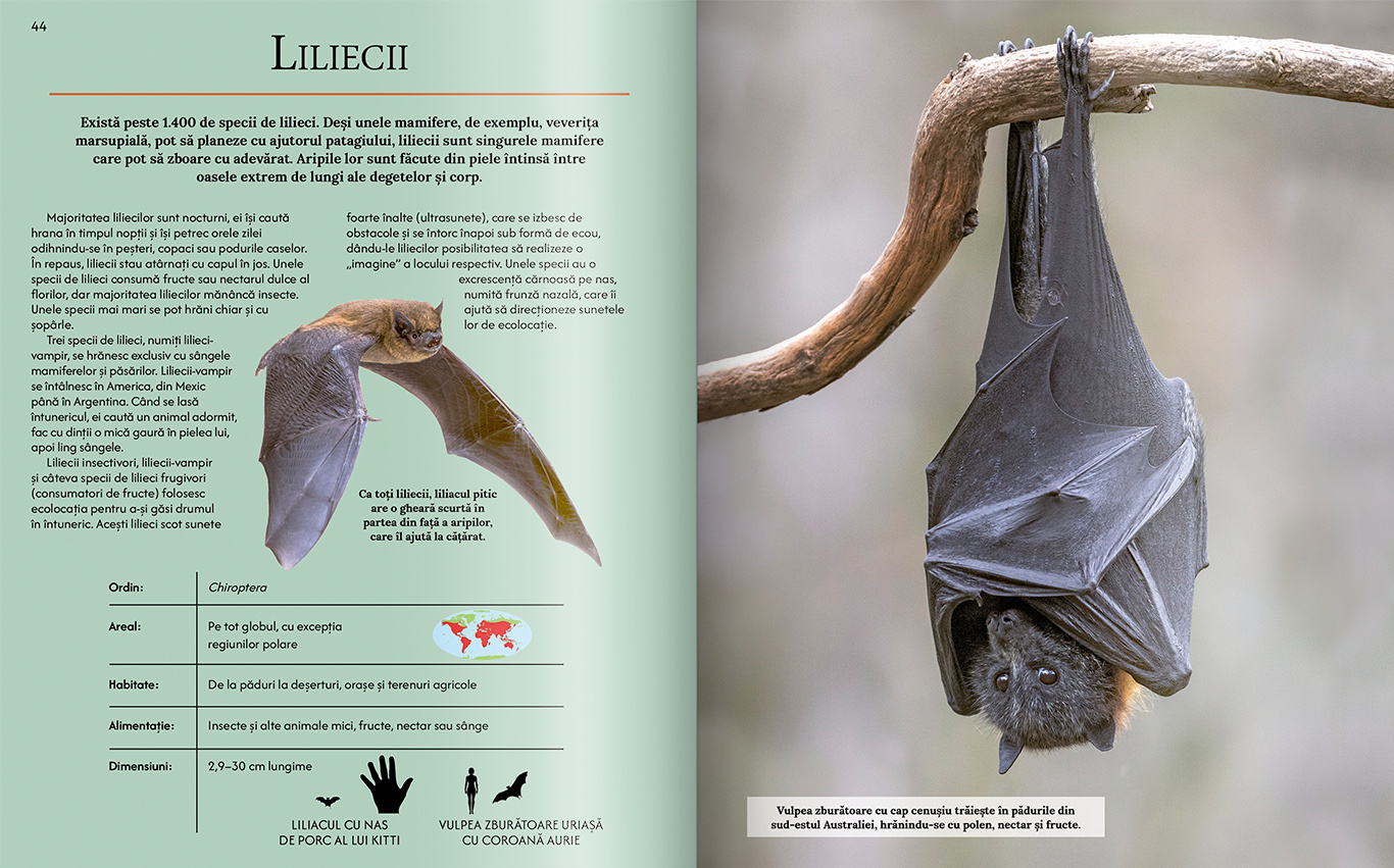 Extraordinara enciclopedie a animalelor