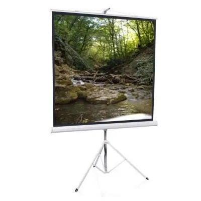 Elite Screens 119"(1:1) 214x214cm Tripod Series Pull Up, White