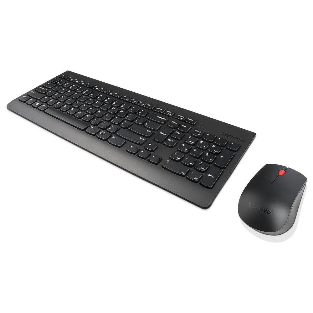 Lenovo Essential Wired Keyboard and Mouse Combo, USB, Black.