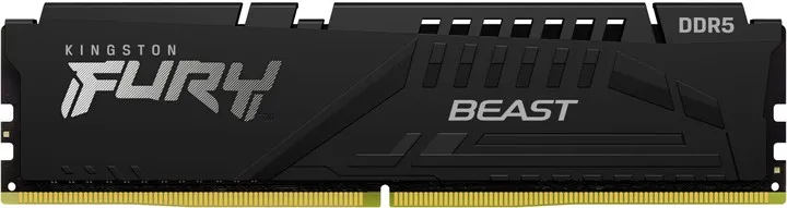 Memorie operativa Kingston FURY Beast EXPO DDR5 5600 MHz 16GB