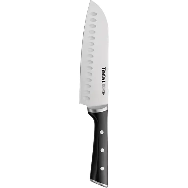 Fish cleaning knife Tefal K2320614, Black