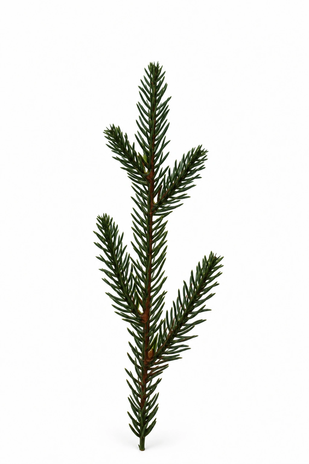 Artificial Fir Needle No. 417436