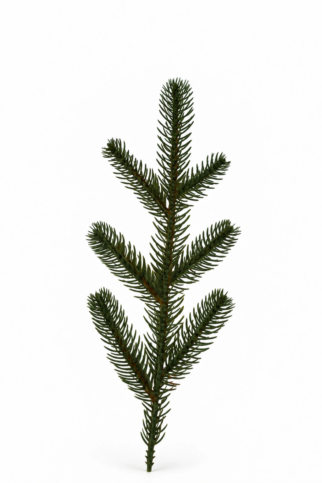 Artificial Fir Needle No. 0730