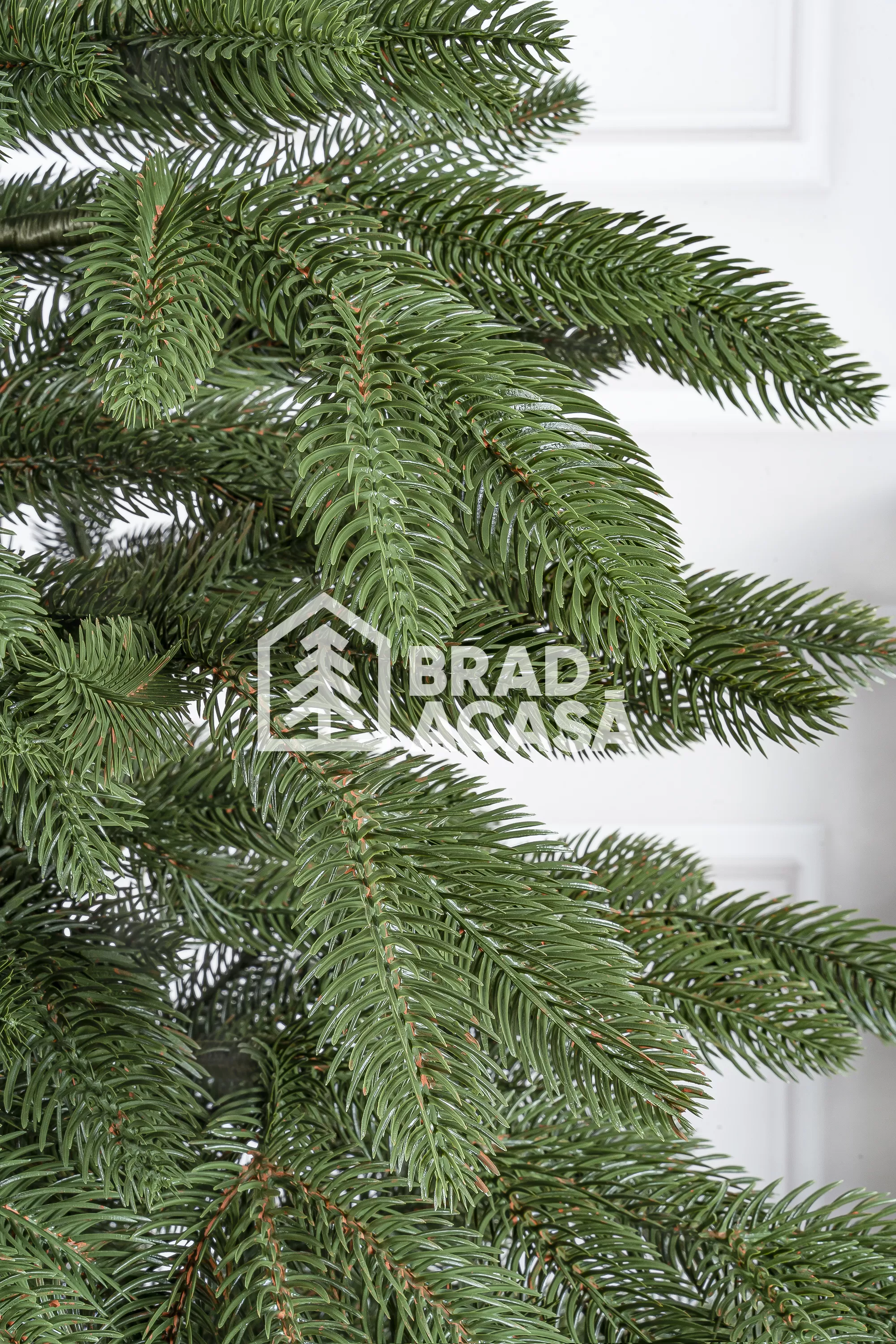 Brad artificial Premium