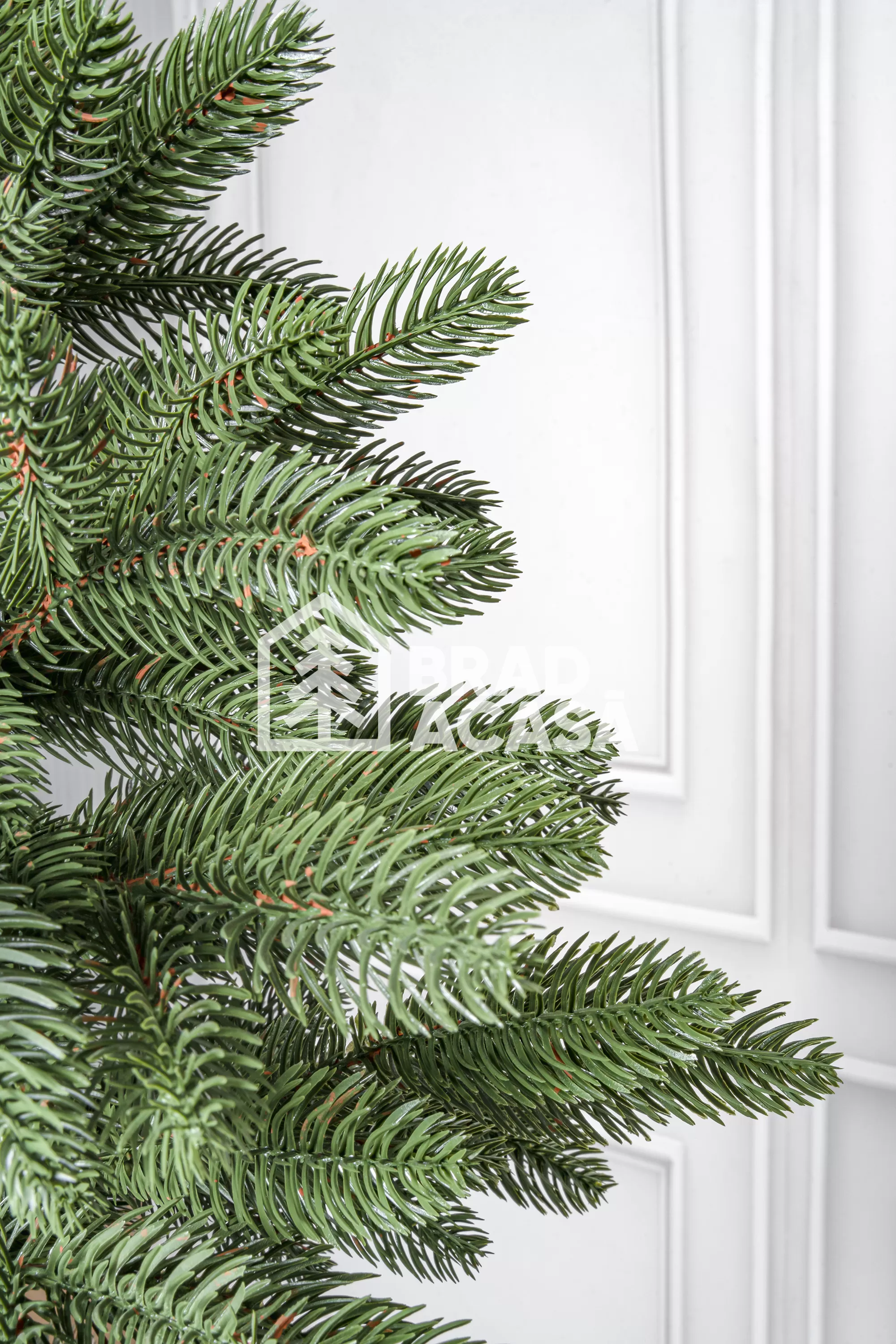 Brad artificial Premium