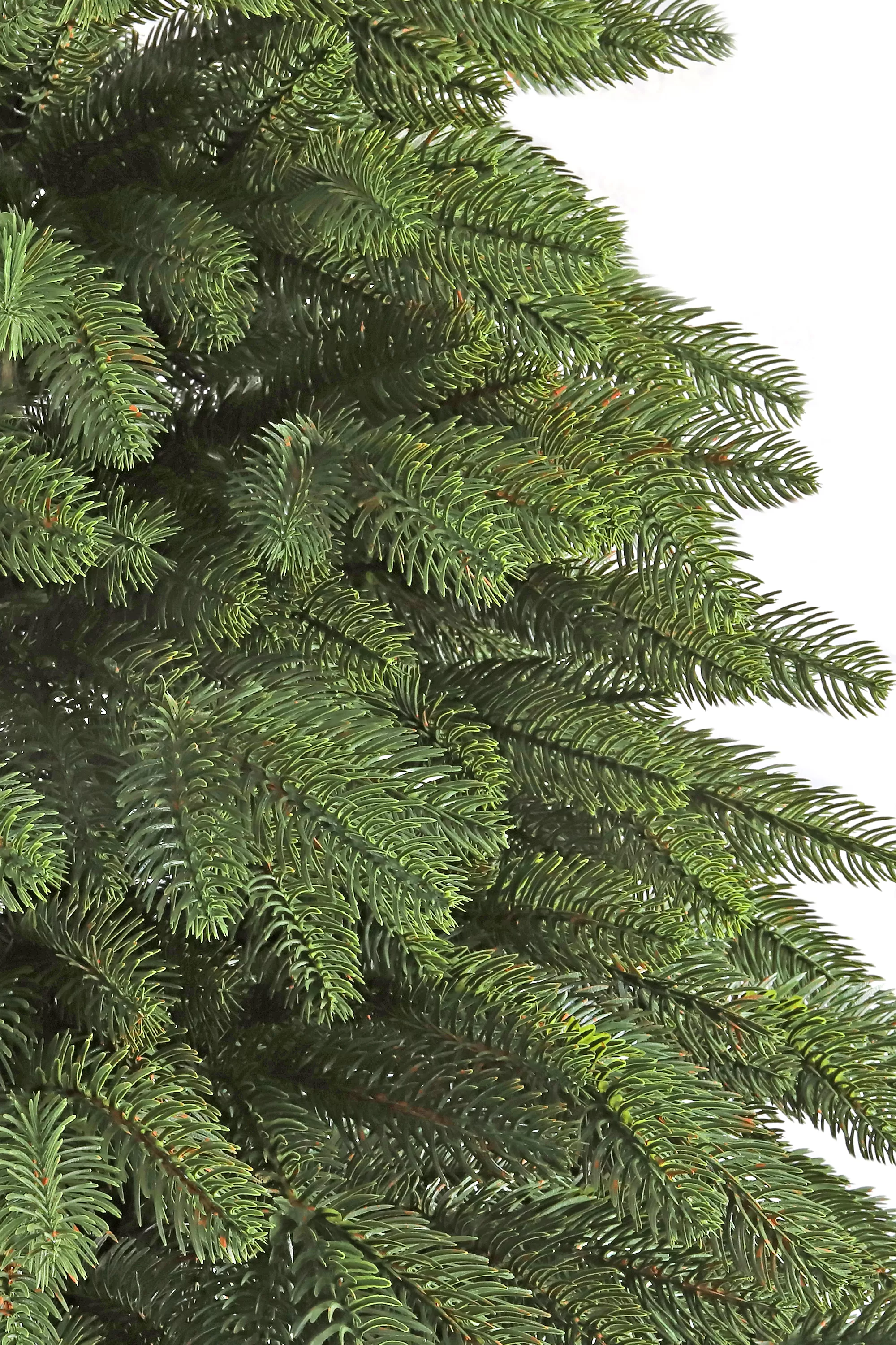 Brad artificial Premium