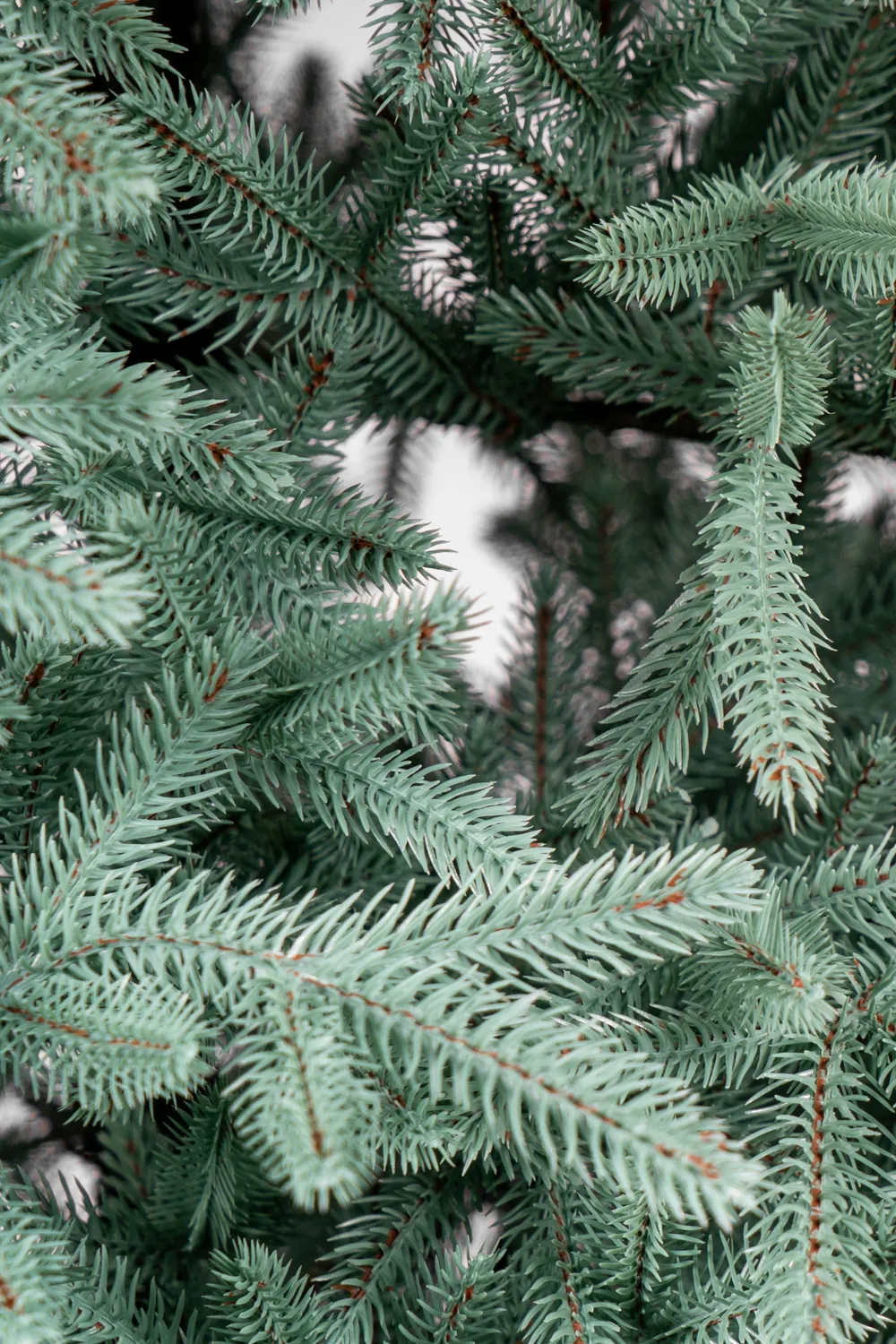 Artificial Christmas tree Nordic Blue 2.4 m 3