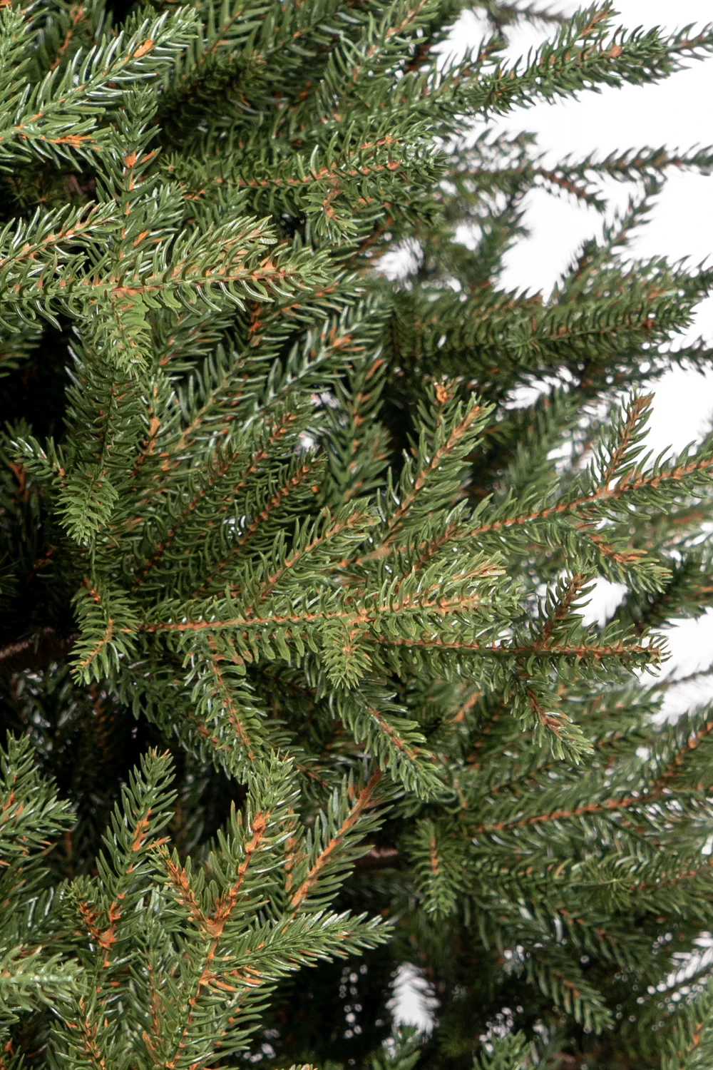 Artificial Christmas tree Natural Green 2m 3