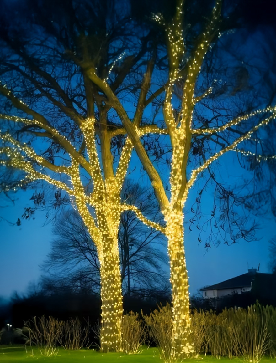 Ghirlandă 0,2W/LED 24V 6500K IP65