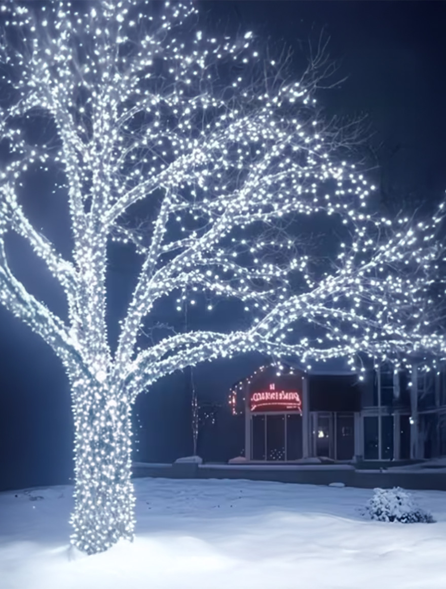 Ghirlandă 20W 100LED 24V 6500K 10m IP65 + sursă de alimentare