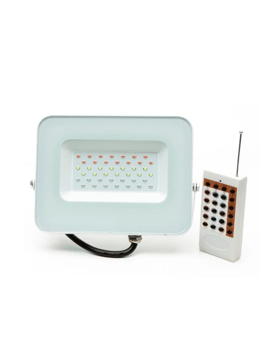 Прожектор RGB Luminaled E024E 50Вт 6500К IP65