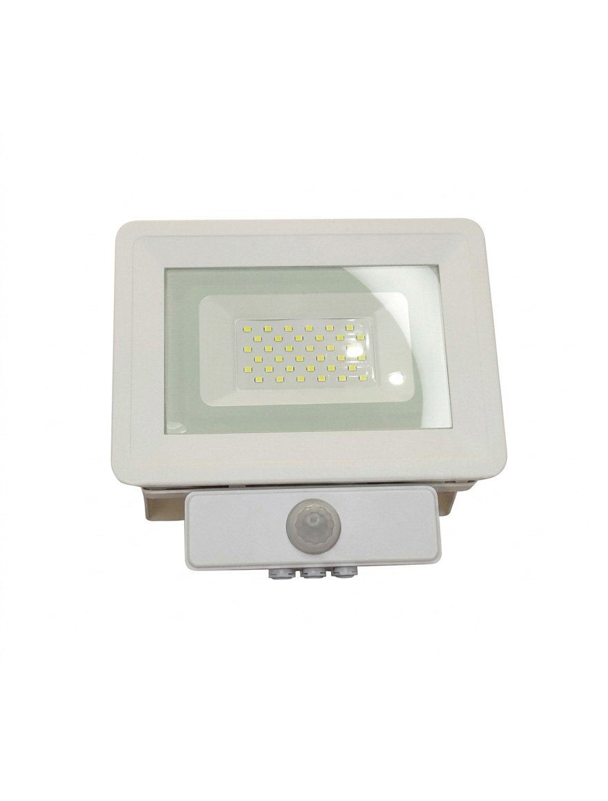 Proiector sensor LuminaLED E008EIS 20W 6500K IP65