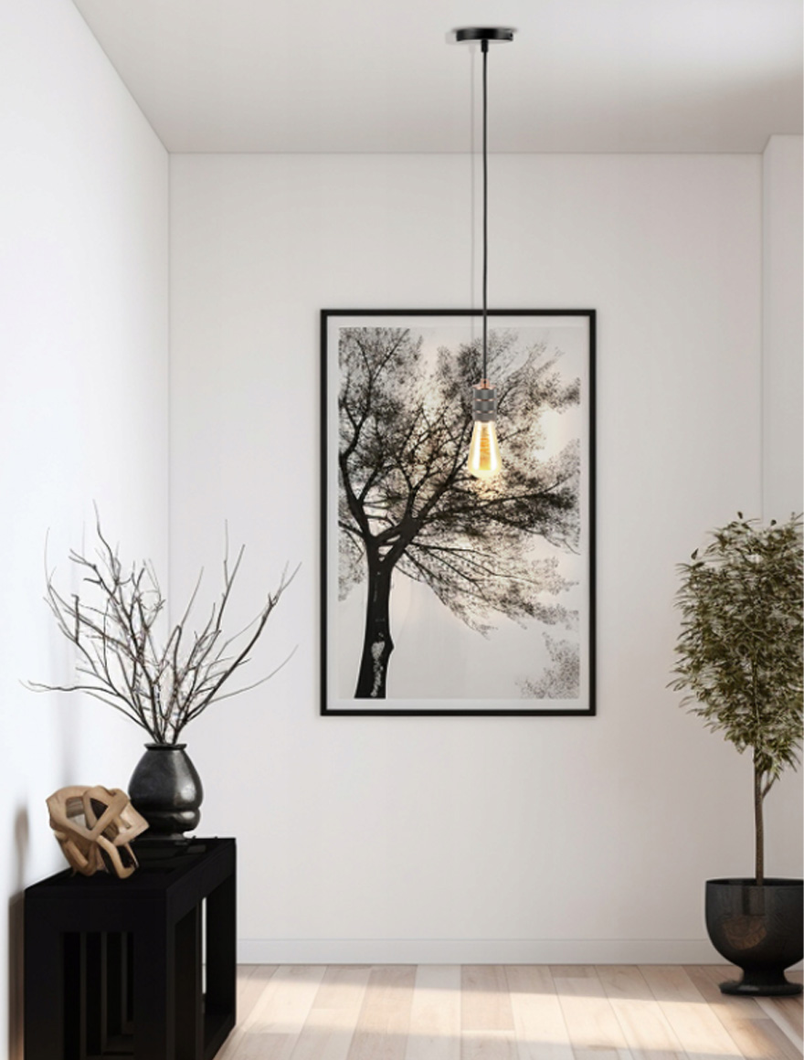 Подвесной светильник JH-142 D4.5xH8см, E27/1, Металл + ПВХ провод, Красный + Коричневый Luminaled