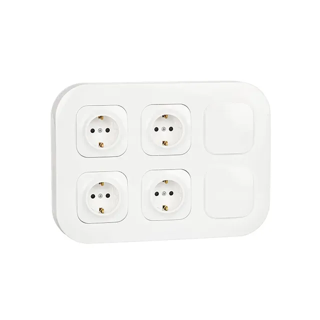 Bloc prize+întrerupător 2x2P+E cu protecție și 2 ob FORIX