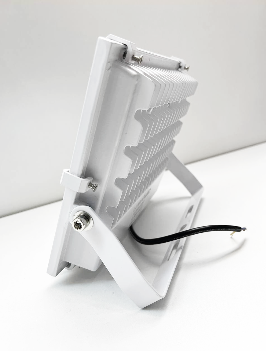 Проекторы FL-50W 6500K LuminaLED