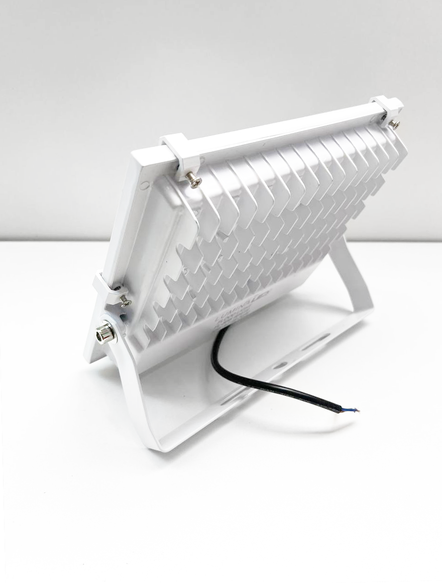 Проекторы FL-50W 6500K LuminaLED