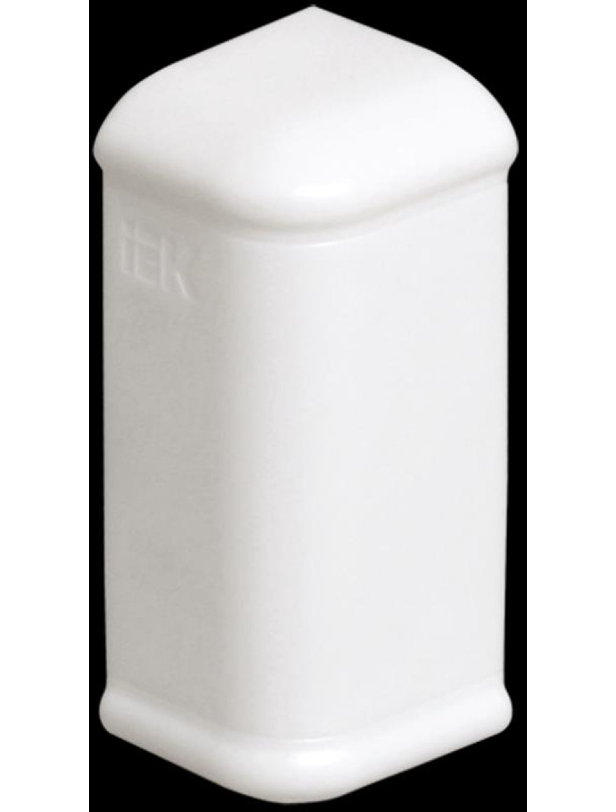 Capac pentru canal cablu Praimer 100x40 IEK