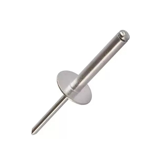 036322 Nituri 4,8x10 cu cap mare AL/ST_25 buc. LIDER