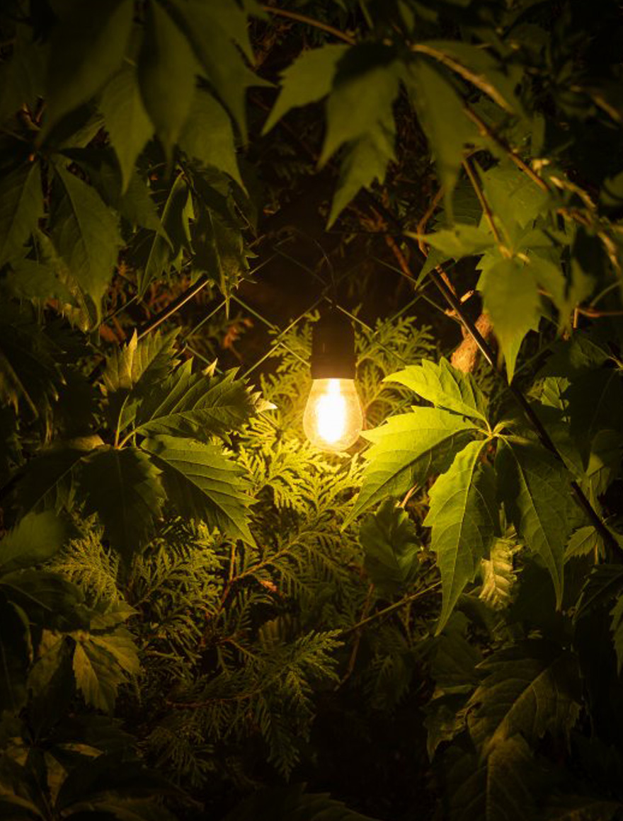 Ghirlandă LED RGB 18 becuri,12V,10m LuminaLED