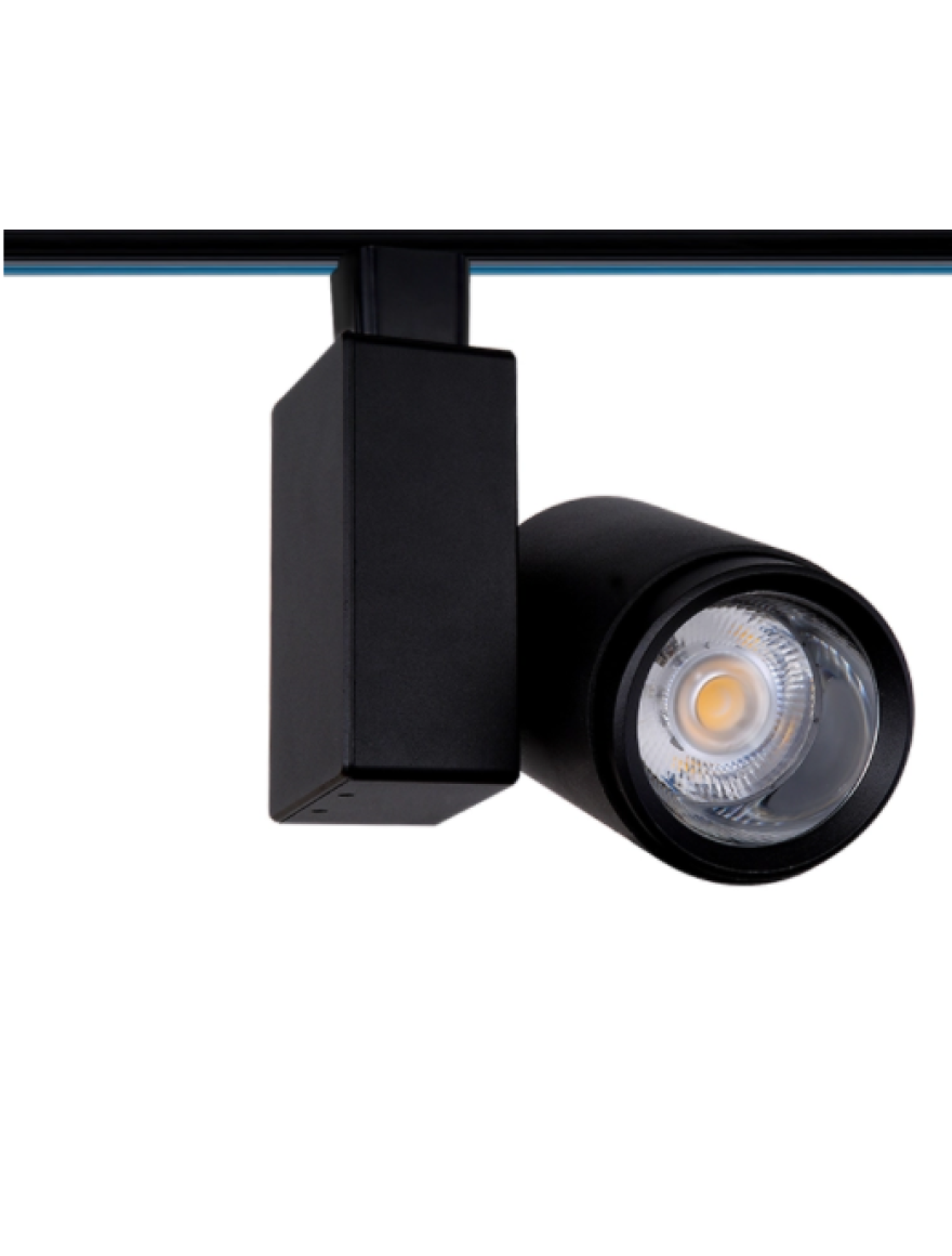 Proiector LED Camera-30W 6500K negru LuminaLED