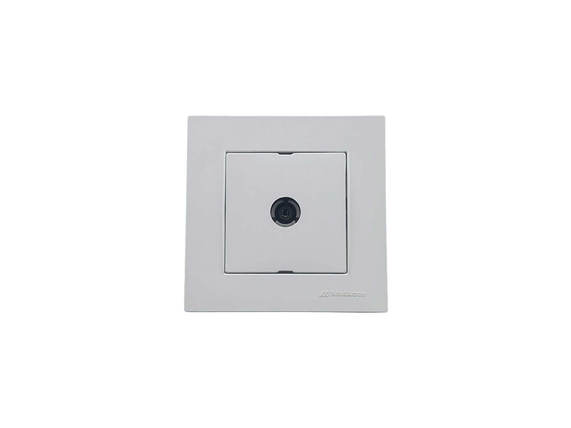 Внутренняя розетка для телевизора RITA