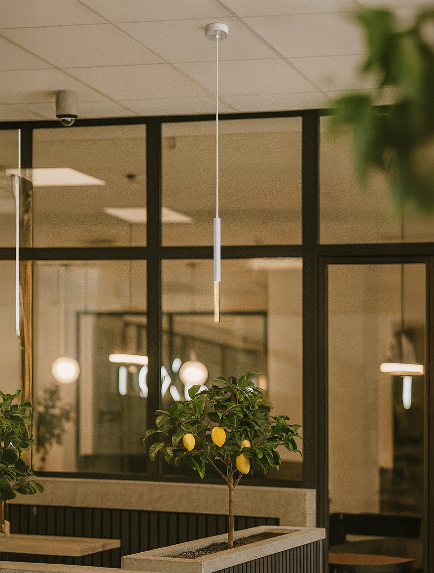 Suspensie LED ONE P0461-01E-S8S8 5W 3000K metal acryl ZUMALINE