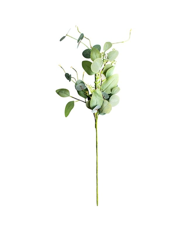 CM Eucalipt ramura 82 cm