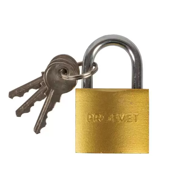 Навесной замок b60 мм, кованое железо, d9 мм, нержавеющая сталь A3, 3 канала. Profmet