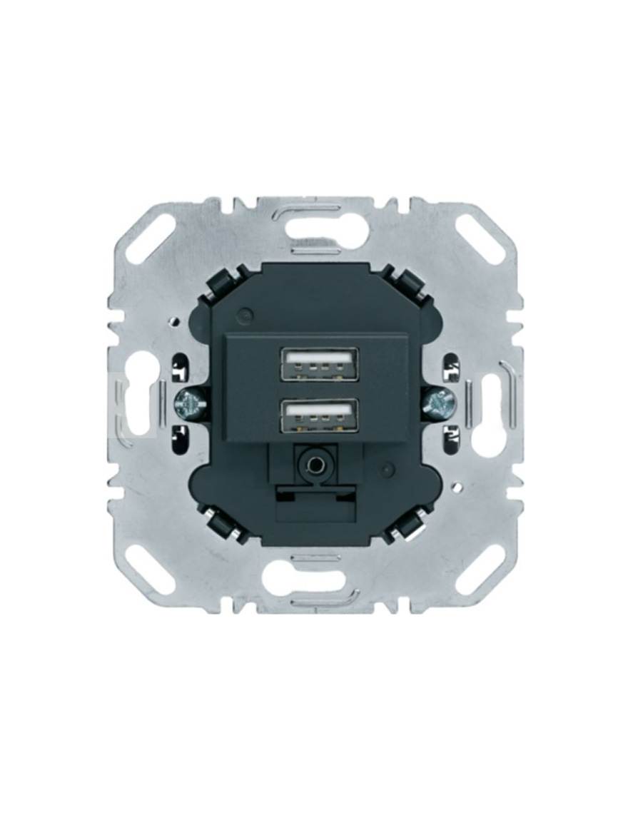 Priză 2xUSB antracit Qx format TAE Berker 260205