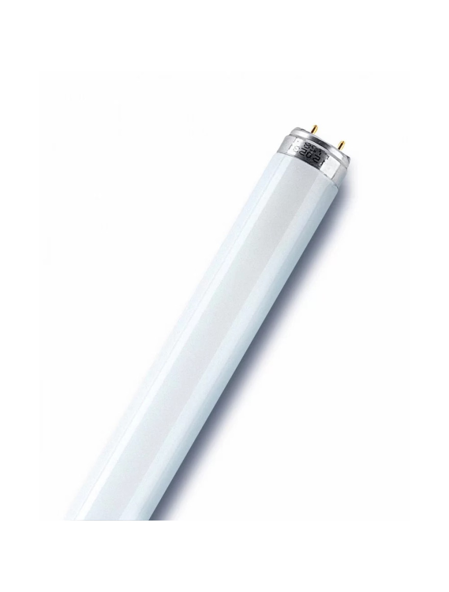 Bec fluoriscent 58W/765 OSRAM