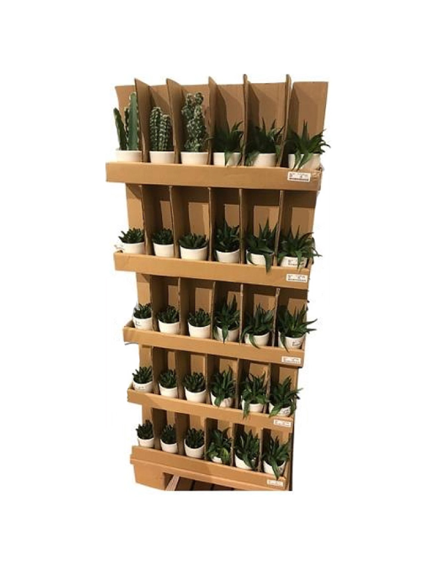 Floare artificiala Aloe si Cactus in ghiveci H23cm