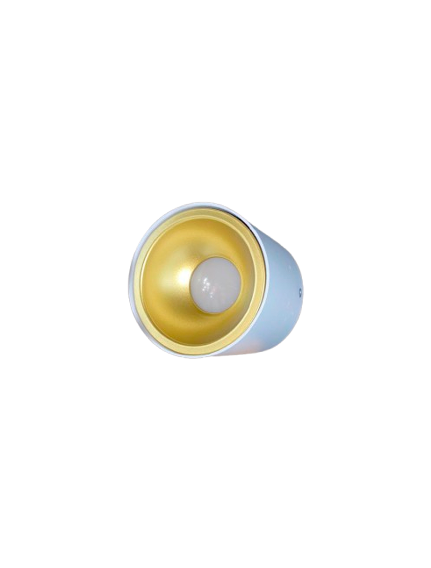 Spot aplicat ERK2801, MR16, 1xGU10 max 20W 60x100mm rotund alb+auriu ERKLED