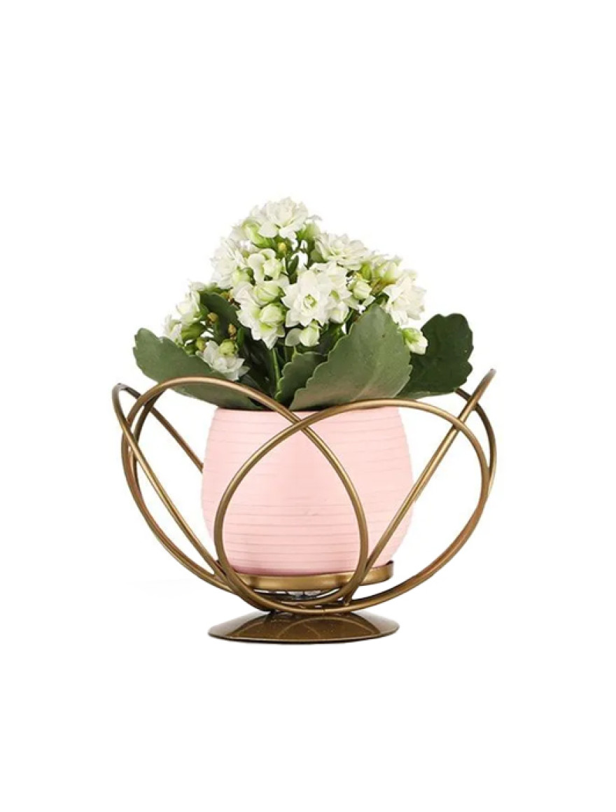 * Ghiveci cu flori+suport AQUA NO:01 h29 auriu+roz Begusa