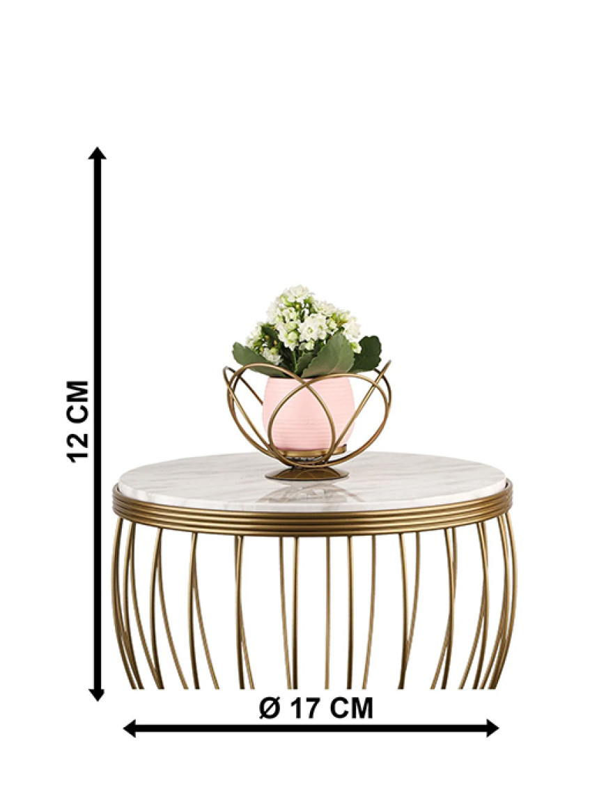 * Ghiveci cu flori+suport AQUA NO:01 h29 auriu+roz Begusa