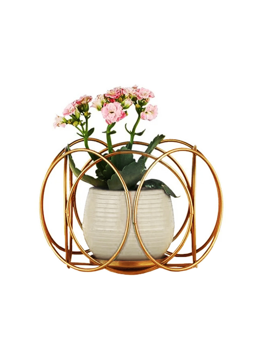 * Ghiveci cu flori+suport AQUA NO:03 h35 auriu+bej Begusa