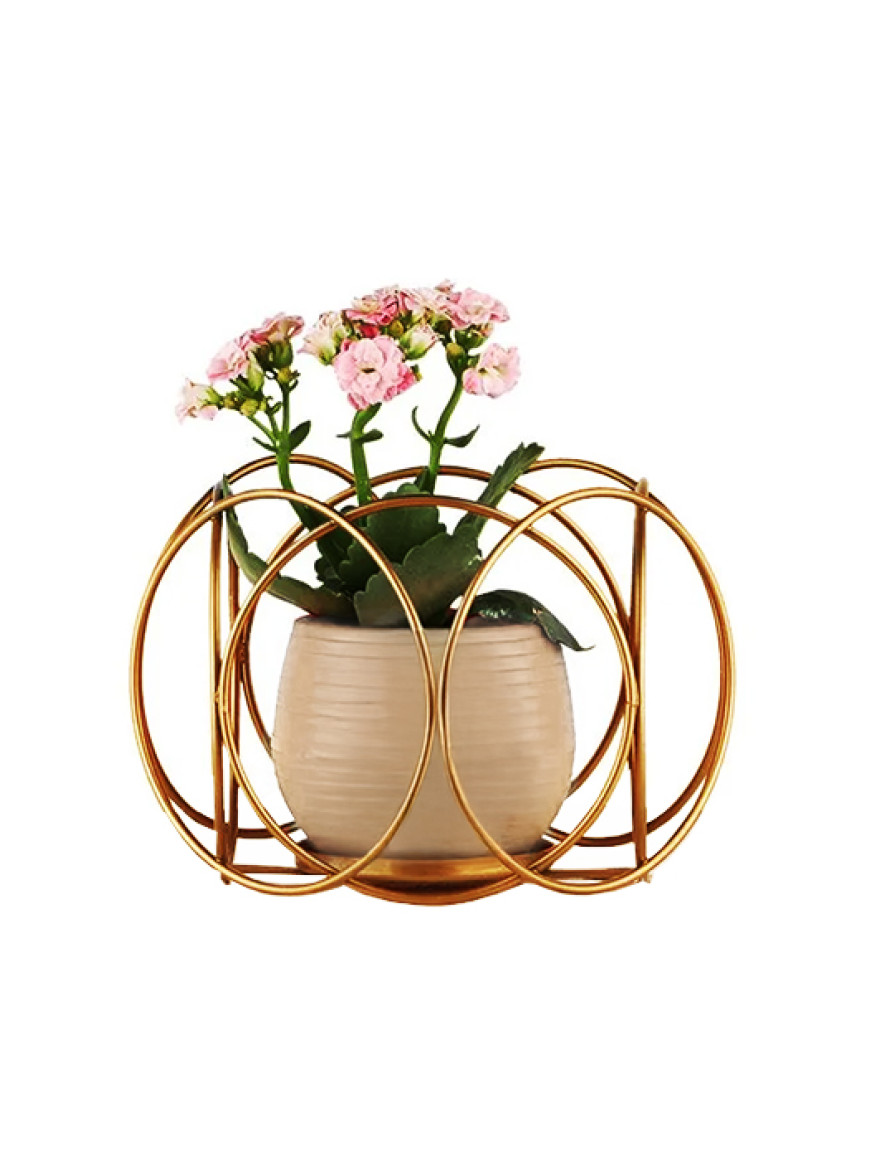 * Ghiveci cu flori+suport AQUA NO:03 h35 auriu+bej Begusa