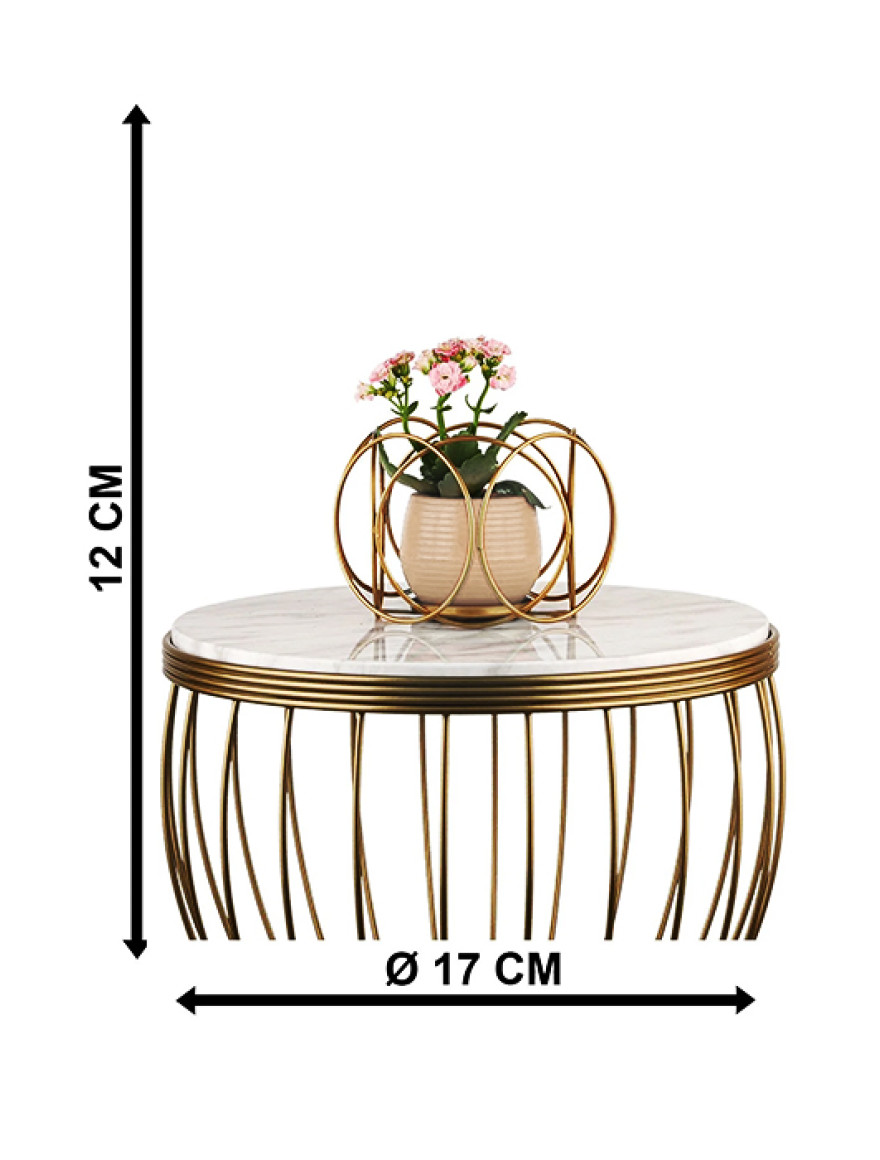 * Ghiveci cu flori+suport AQUA NO:03 h35 auriu+bej Begusa