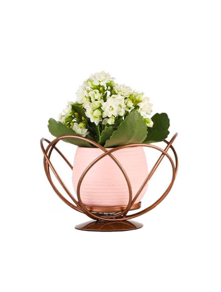 * Ghiveci cu flori+suport AQUA NO:01 h29 bronz+roz Begusa