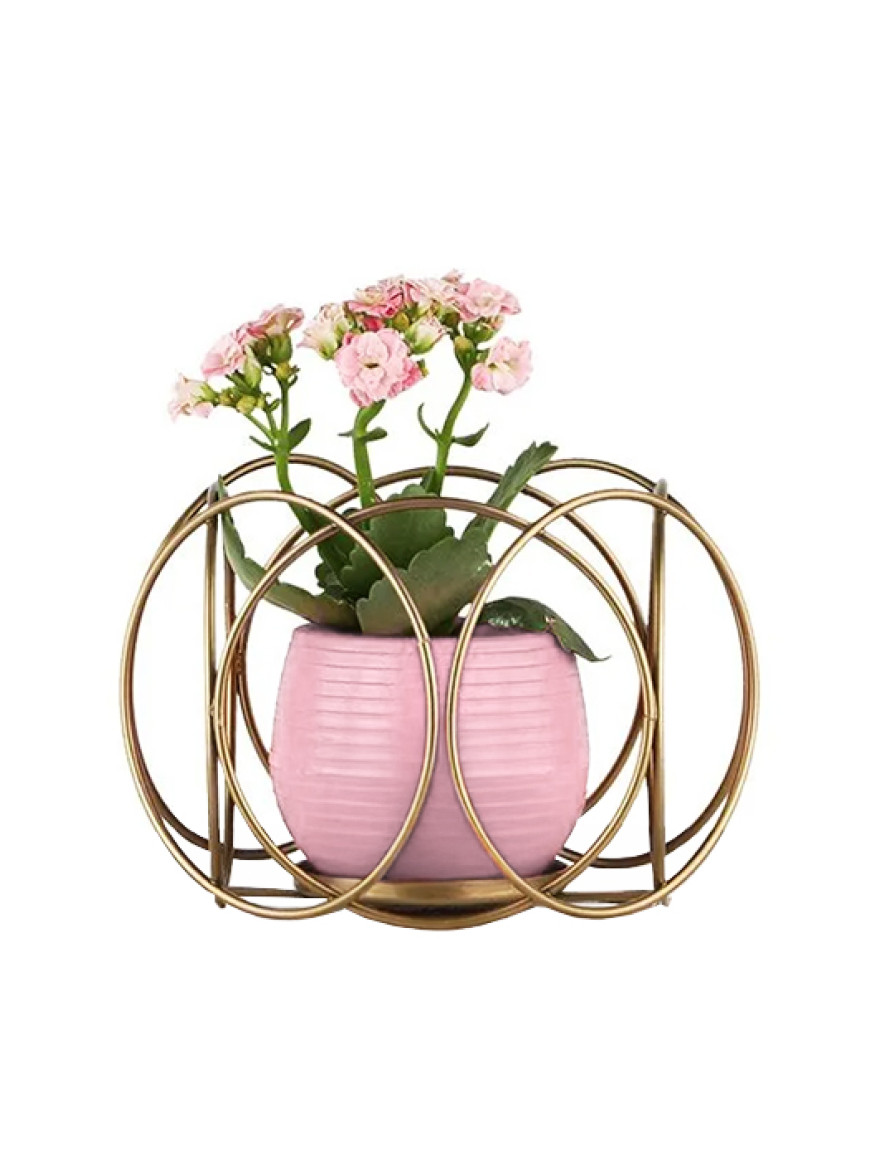 * Ghiveci cu flori+suport AQUA NO:03 h35 auriu Begusa