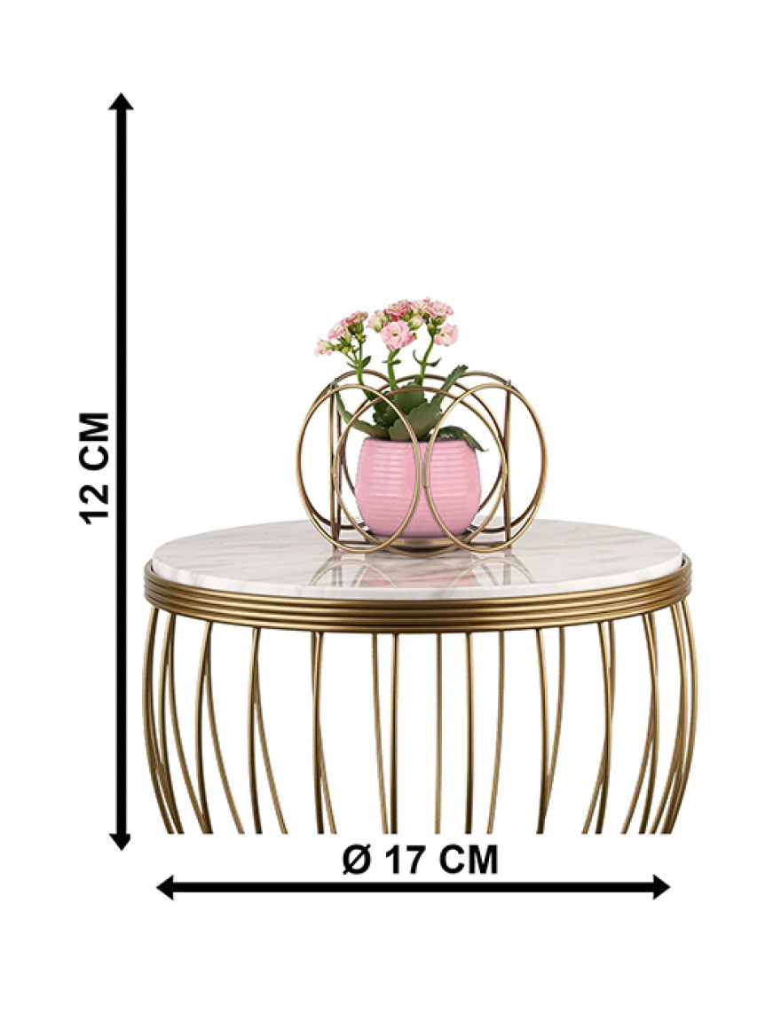 * Ghiveci cu flori+suport AQUA NO:03 h35 auriu Begusa