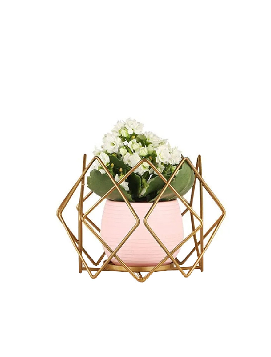 * Ghiveci cu flori+suport AQUA NO:04 h35 auriu+roz Begusa