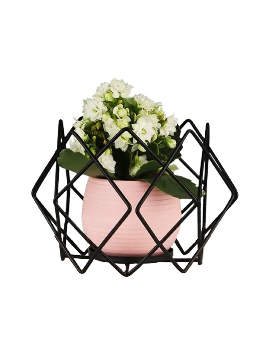 * Ghiveci cu flori+suport AQUA NO:04 h35 negru Begusa