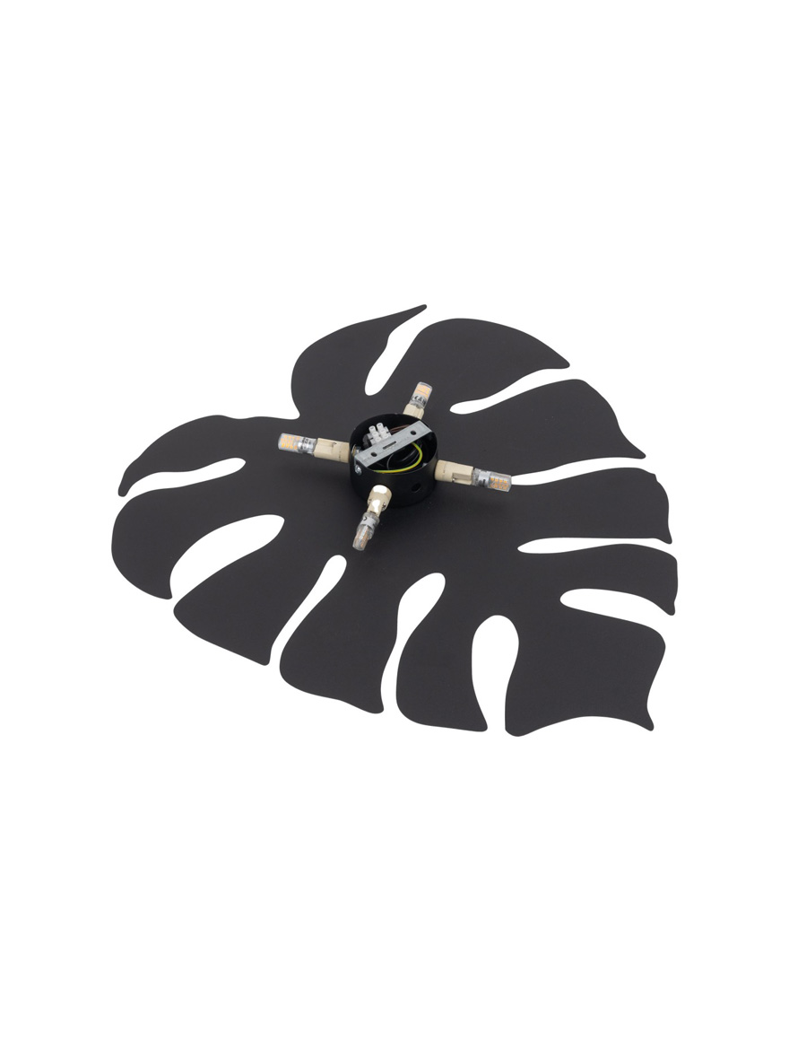 Настенный светильник MONSTERA 3xG9, макс. 6W, чёрный, TK-LIGHT 5
